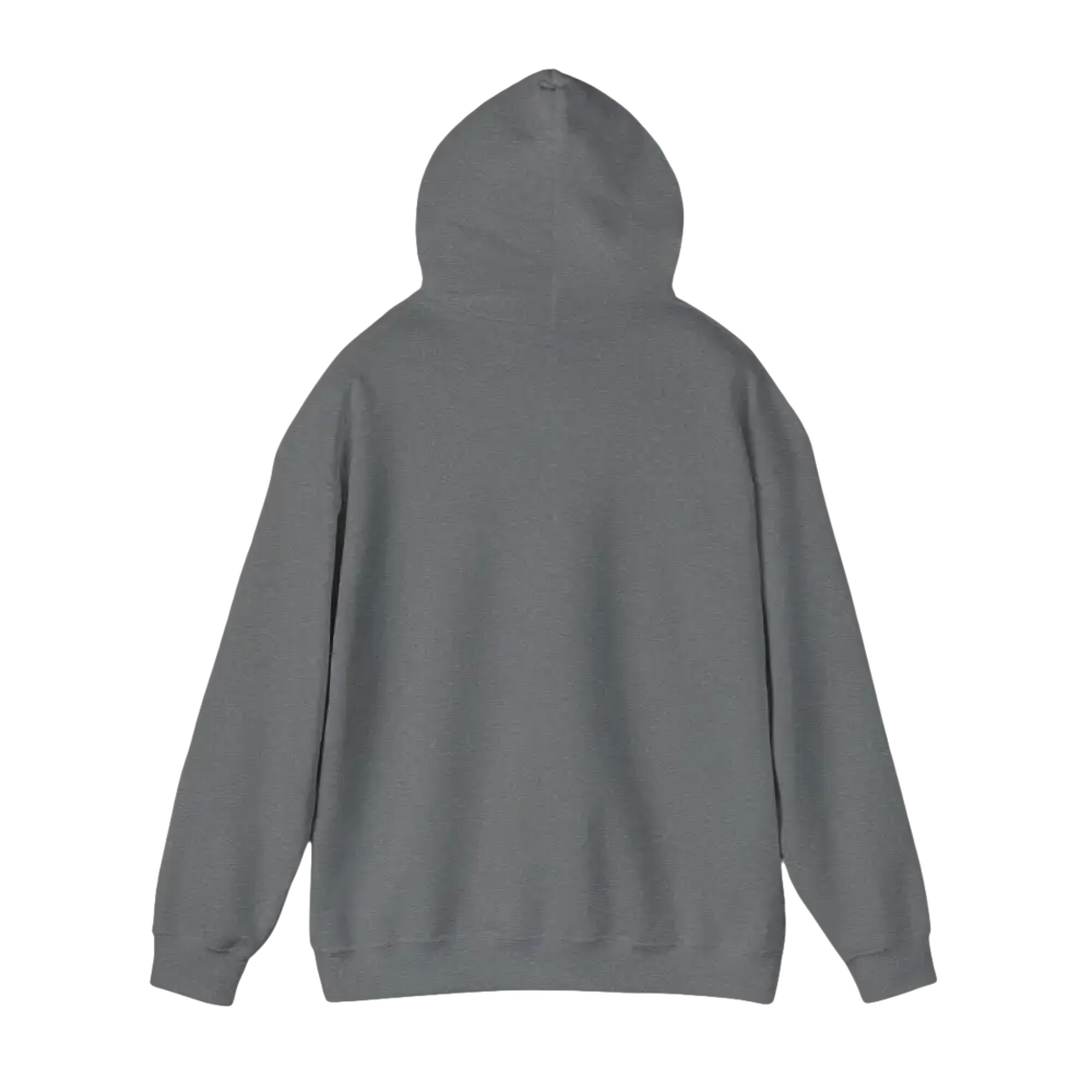 Gray Hooded Sweatshirt with American Ship Flag design, perfect for casual wear