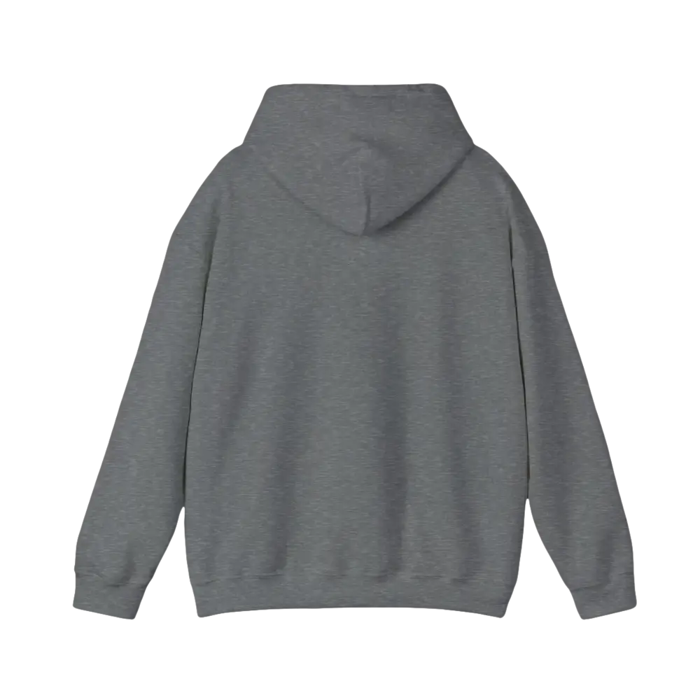 Gray Hooded Sweatshirt featuring American Ship Flag design for casual wear