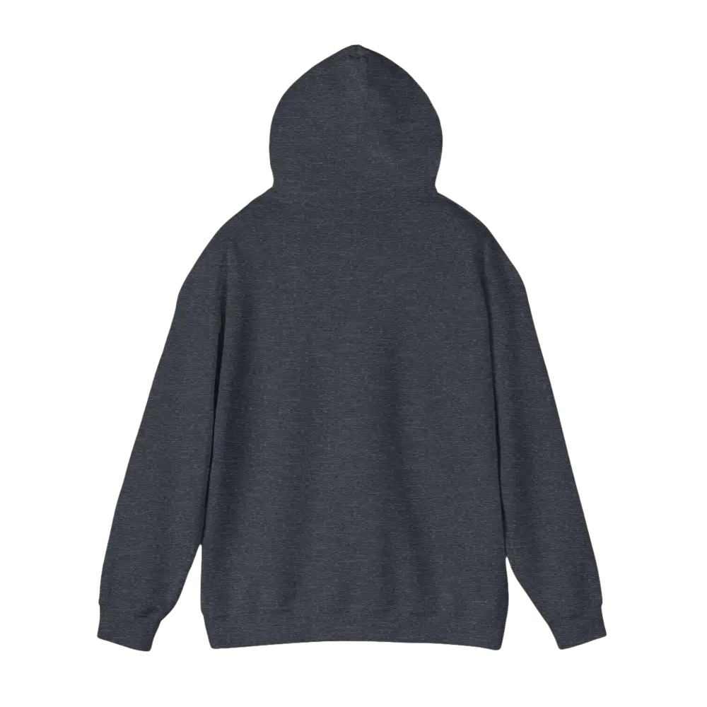 Gray Hooded Sweatshirt featuring American Ship Flag design for casual wear