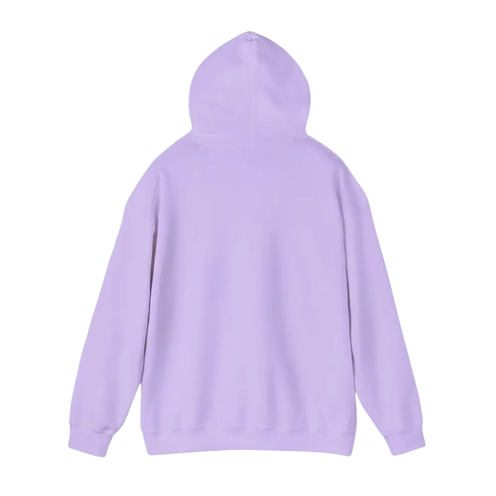 Lavender hooded sweatshirt featuring American Ship Flag design for stylish comfort