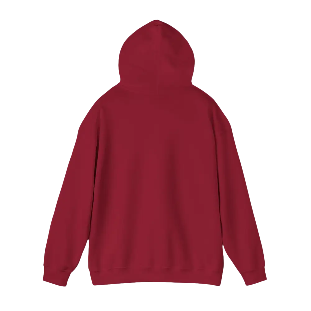 Maroon hooded sweatshirt featuring American Ship Flag design for stylish casual wear