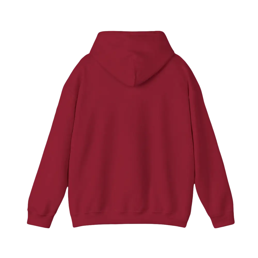 Maroon hooded sweatshirt featuring American Ship Flag design for casual wear
