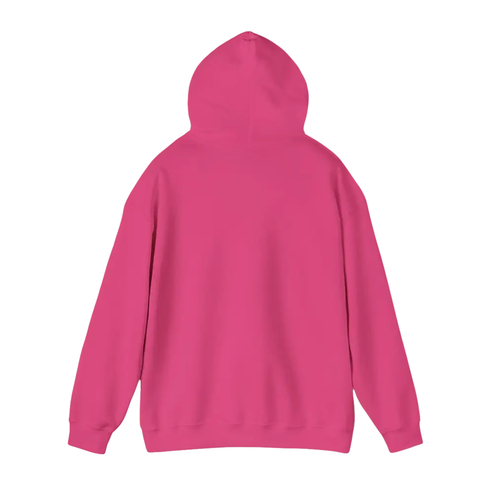 Pink hooded sweatshirt featuring American Ship Flag design for casual wear