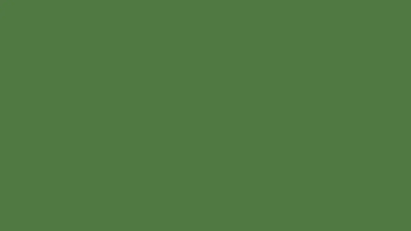 Solid green background for Lifeguard Santa Unisex Tee product display