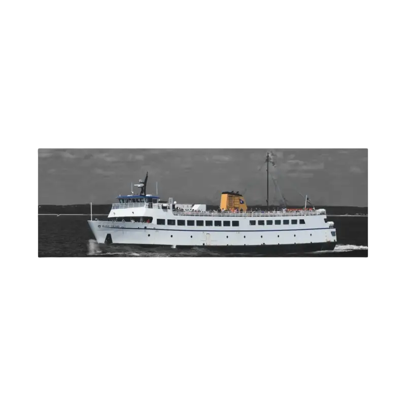 White Passenger Ferry showcasing a sleek design for comfortable travel across waters