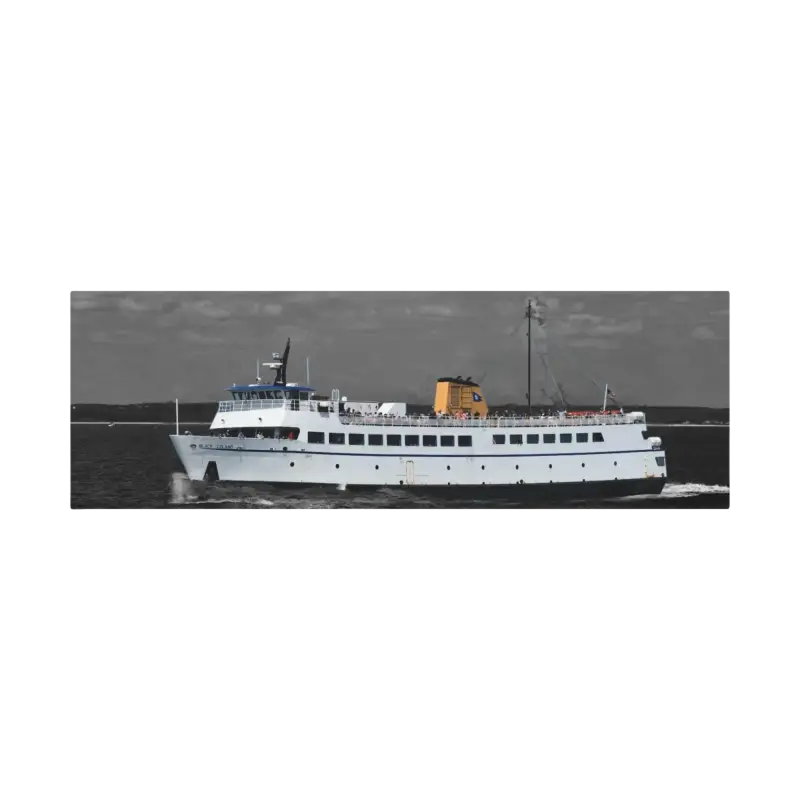 White Passenger Ferry displayed in a serene waterfront setting, showcasing its sleek design