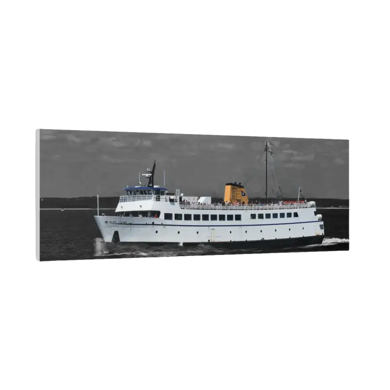 White Passenger Ferry showcasing its sleek design and functionality on water