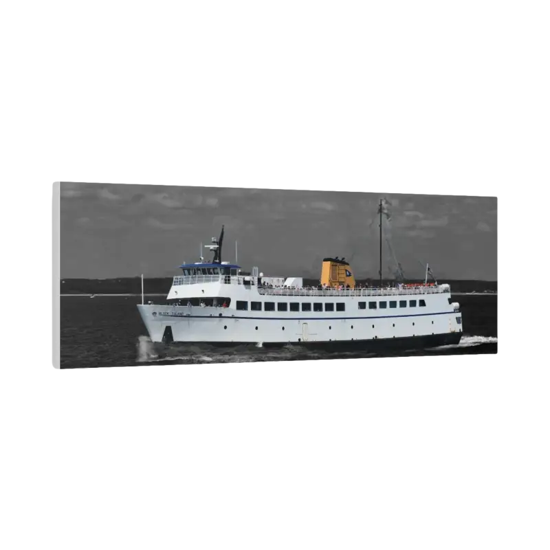 White Passenger Ferry showcasing a sleek design for efficient maritime transport