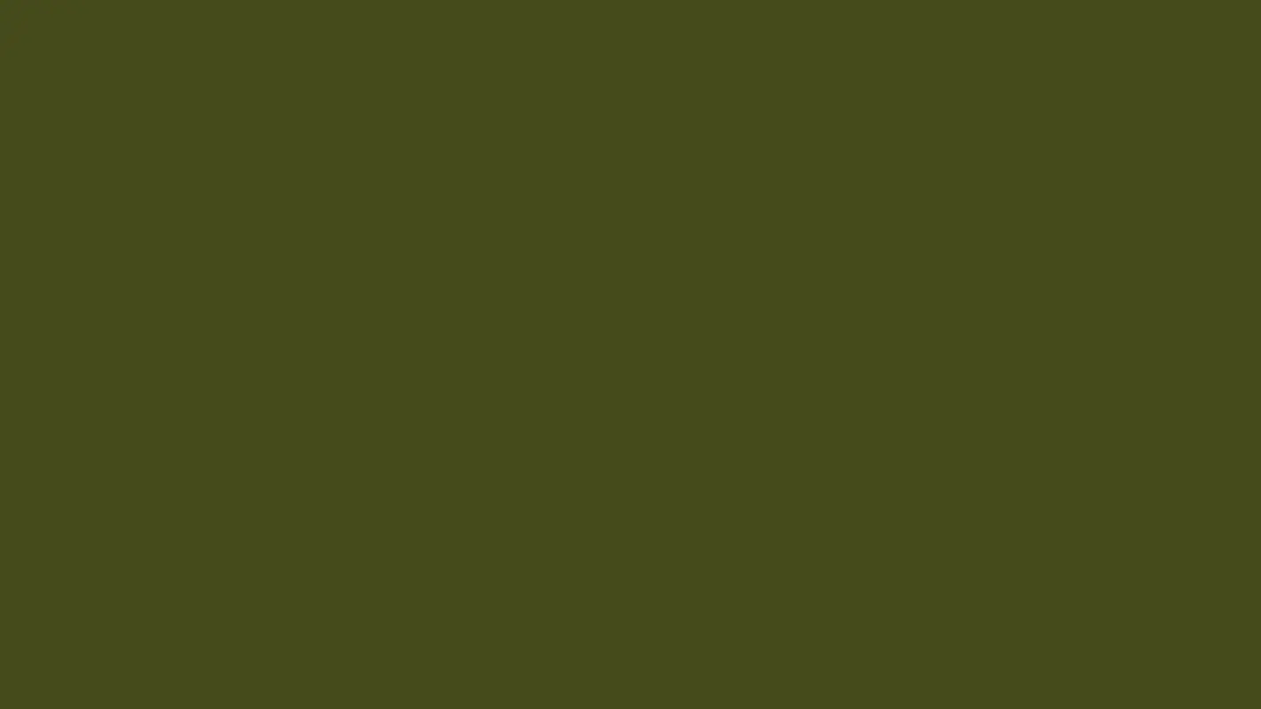Solid olive green color featured in Gray Block Island Nautical Sweatshirt with Compass Design