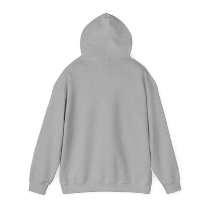 Gray hooded sweatshirt from Lavender Snowboarding Hoodie for Winter Sports Enthusiasts