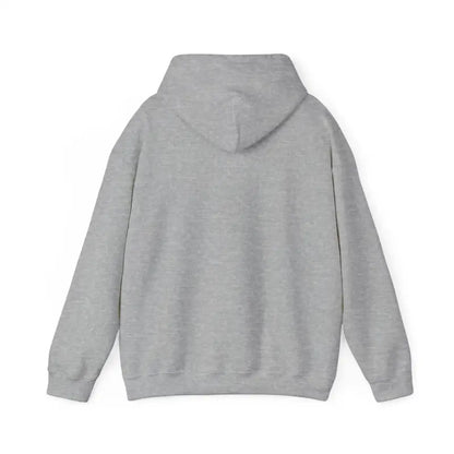 Gray hooded sweatshirt from the Lavender Snowboarding Hoodie for winter sports enthusiasts