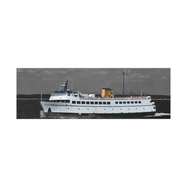 White Passenger Ferry displayed in a serene waterfront setting, showcasing its sleek design