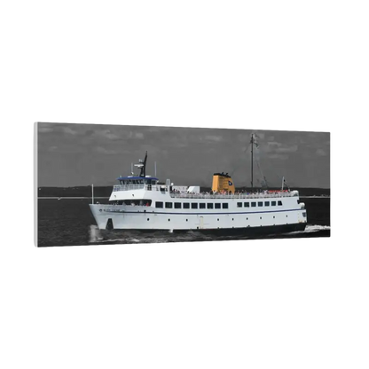 White Passenger Ferry showcasing its sleek design and functionality on water